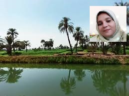 سميرة توفيق تكتب: طرائف من الصعيد.. الضيف الثقيل
